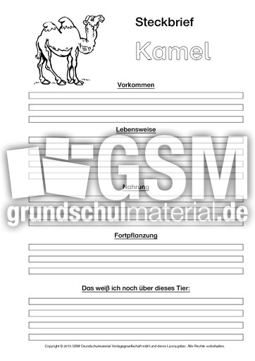 Kamel-Steckbriefvorlage-sw-2.pdf